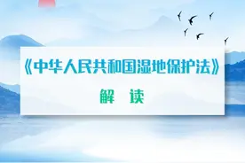 《中华人民共和国湿地保护法》解读图片