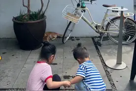 朱丹携俩娃出游！身材苗条低调无人识，4岁女儿戴眼镜身高猛长图片