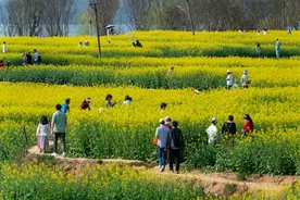 四月，3种海鲜大量上市，正宗无养殖，好吃不贵还下酒，别错过图片