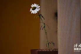 《人世间》大结局：好的家风，才是一个家最大的福报图片