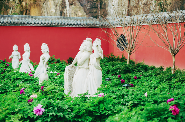 四川省民生研究会新媒体中心-官网