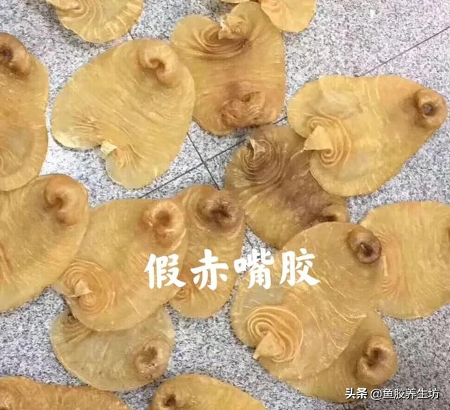 赤嘴鳘鱼胶真假 2026年赤嘴鱼胶的口感
