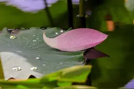 一种负责的人生态度，要考虑两个问题图片
