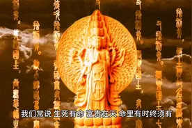 人的命运是上天注定的图片