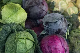 买包菜，注意区分紧包菜和松包菜，口感差别大，学会告诉家里人图片