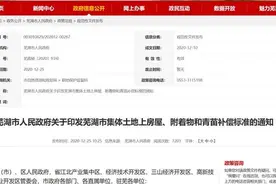 安徽芜湖农村房屋拆迁补偿标准明细2022图片