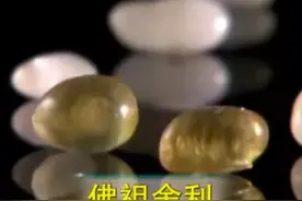 村民施工挖出地宫，里面的东西竟然被抢空了，佛骨舍利子也不见了图片