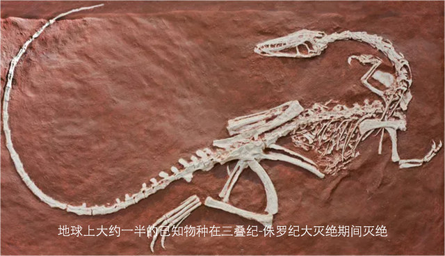 一文读懂地球历史上五次生物大灭绝的时间、规模和原因