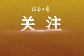 海口超3.4万人报名中考，共21人审核不合格，4所学校存在违法违规行为→图片