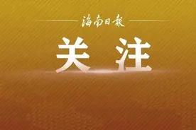 海口超3.4万人报名中考，共21人审核不合格，4所学校存在违法违规行为→图片