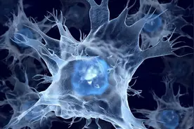 人类是否能打开基因锁？被封印的巨人，就在人类的17号染色体上图片