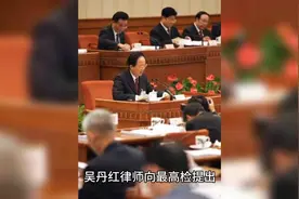 致敬吴丹红律师图片