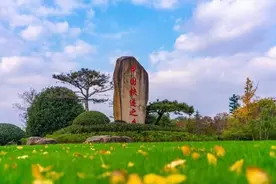 潮声丨浙江摘下一枚“大地瓜”：快递巨头“三通一达”新布局透露了什么？图片