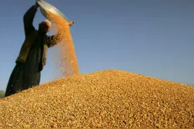 粮食自给率榜单：法国稳居第一，中国年产量超1.3万亿斤，未进前5图片