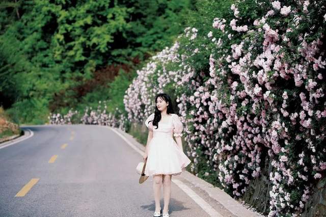 四川省民生研究会新媒体中心-官网