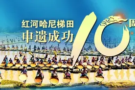 历史的脚步 | 红河哈尼梯田大事记图片