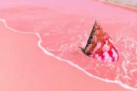 我在海边等你图片