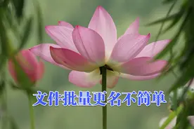 文件名不规范 如何快速批量更改图片