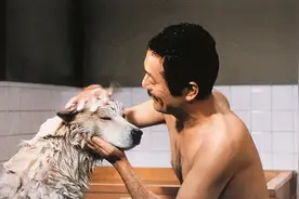 这部日版《忠犬八公》电影，才更接近真实的凄凉人性，更值得一看图片