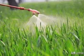 不懂农药怎么混配？推荐35个混配配方，消灭99%的病虫害图片