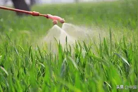 不懂农药怎么混配？推荐35个混配配方，消灭99%的病虫害图片