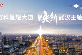 楼盘笔记——万科华生·星耀大道图片