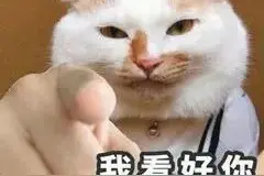 又凶又可爱的指人表情包图片
