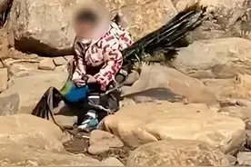 连夜冲上热搜！惹怒全网的一家三口，结局大快人心图片