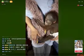 红山动物园再上热搜，拿什么拯救“毛孩子们”？图片