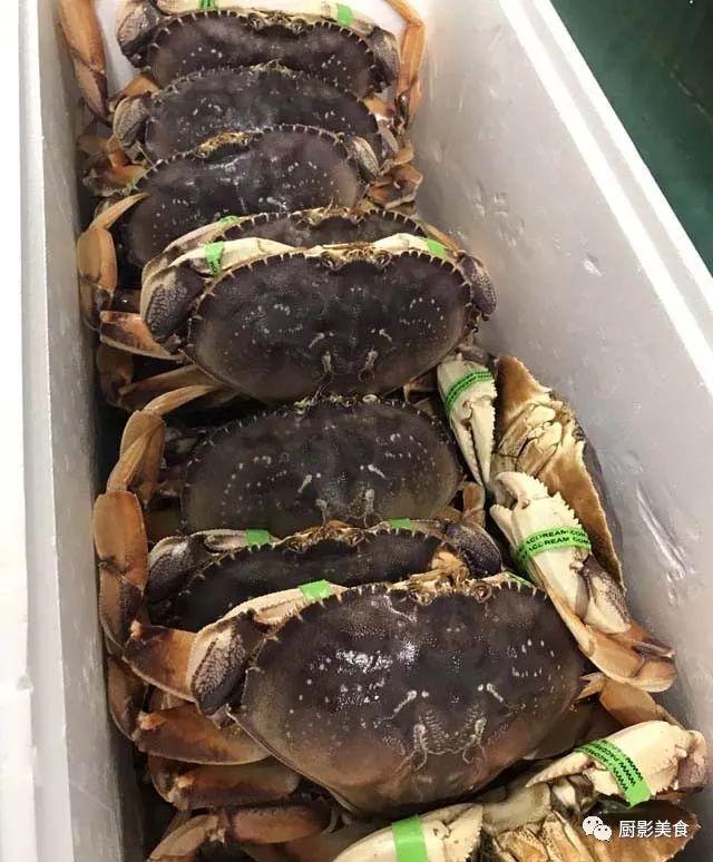 40头的花胶是几级 2025年花胶40头是什么意思?