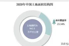 “退耕还林”90年代——2020年全球及中国森林覆盖率情况图片