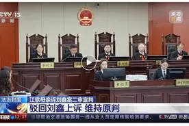 江歌母亲诉刘鑫案二审宣判！针对5个事实争议，法院审理认定图片