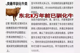 红山文化主人搞清楚了，20多年不容易！玉猪龙、勾云佩、黄帝夏朝图片