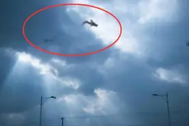 1934年“营口坠龙”事件是真是假？老人上交的“龙骨”又是何物？图片