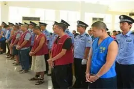 广东陆丰陈金朝落网记：出租车司机开车压死鸡，遭索赔180万图片