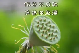 佛说：初来不知人间苦，回头已是苦中人图片