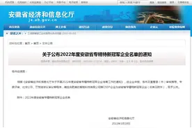 安徽：2022年度省专精特新冠军企业名单图片