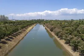 县级水利局到底有多大诱惑，为何让众多人趋之若鹜？图片