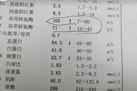转氨酶高到多少需要治疗呢？图片