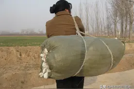 我是一个被抱养的孩子，一直资助我读书的人，竟是我的亲生父母图片