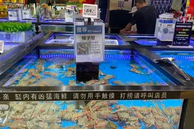 秋天的第一口鲜！梭子蟹那叫一个鲜嫩肥美图片