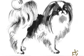 生肖狗2024年“三贵一良”分析，贵人默默相助，三年大运来袭图片