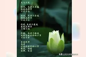 诗欣赏：《见与不见》图片