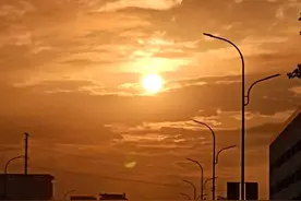 🌹早安心语🌹图片
