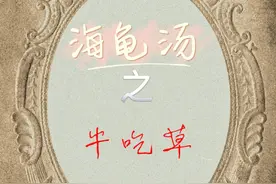 海龟汤—牛吃草图片