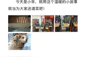 “从未间断，这一送就是十年！”这位女士给流浪动物送温暖图片