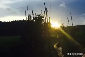 年少时总想长大后逃离的家乡，长大后却成了再也回不去的故乡图片