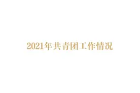 2021年共青团工作情况图片
