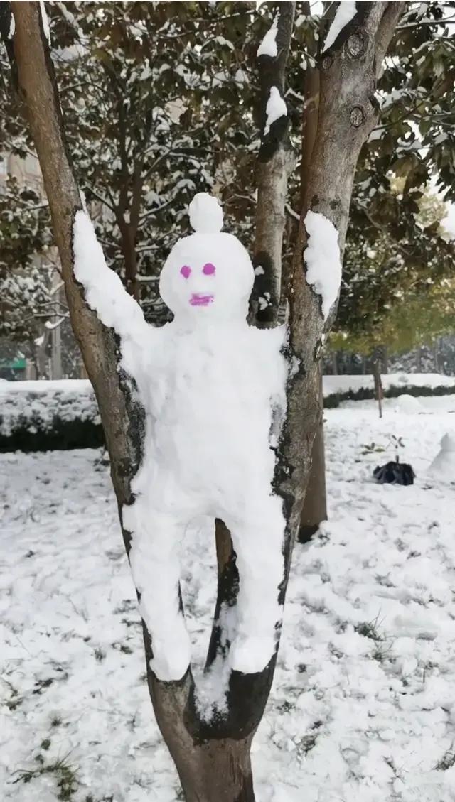 大郑州堆雪人内卷严重，哪个是金奖？全河南的雪人都在这里了