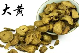 汤头歌诀——大承气汤图片